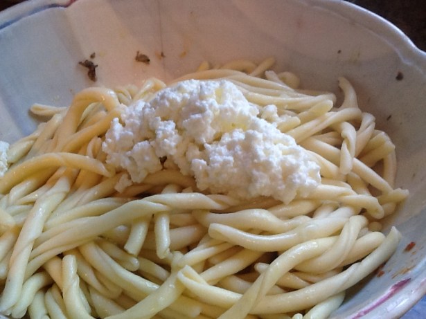 eggplant sauce cavatell:ricotta