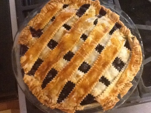 blueberry pie baked