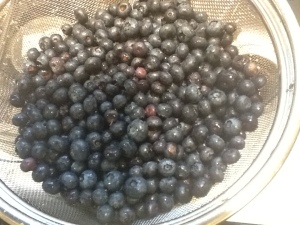 blueberry pie berries