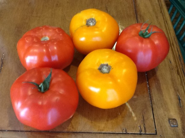 tomato salad:tomatoes