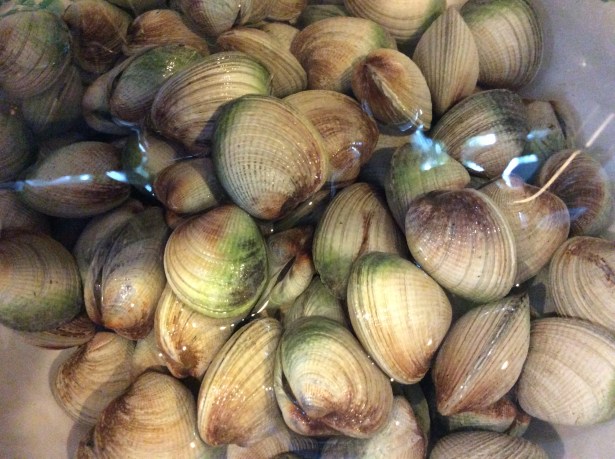 cllam sauce cockles closeup