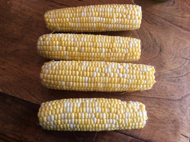 grillled vegiies corn cob