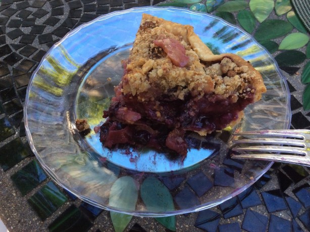 blueberry pie plated